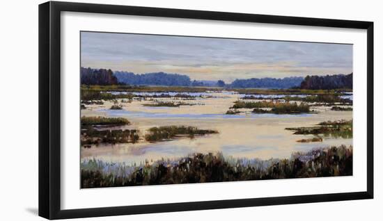 Calm Marshes-Tania Bello-Framed Giclee Print