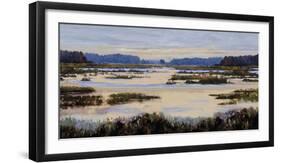 Calm Marshes-Tania Bello-Framed Giclee Print