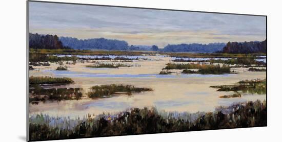 Calm Marshes-Tania Bello-Mounted Giclee Print