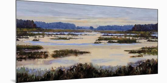 Calm Marshes-Tania Bello-Mounted Giclee Print