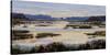 Calm Marshes-Tania Bello-Stretched Canvas