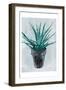 Calm Plant-OnRei-Framed Art Print