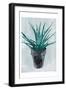 Calm Plant-OnRei-Framed Art Print