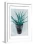 Calm Plant-OnRei-Framed Art Print