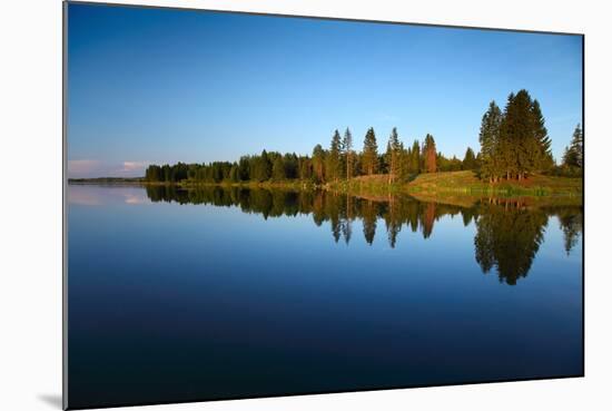 Calm Pond with Pine Trees on the Coast-Dudarev Mikhail-Mounted Photographic Print