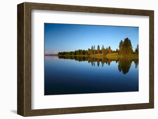 Calm Pond with Pine Trees on the Coast-Dudarev Mikhail-Framed Photographic Print