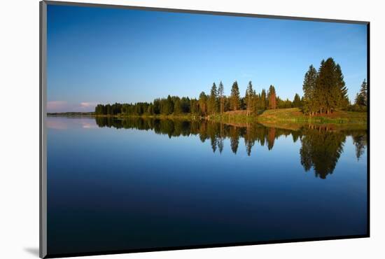 Calm Pond with Pine Trees on the Coast-Dudarev Mikhail-Mounted Photographic Print