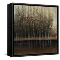 Calm Reflection-Tim O'toole-Framed Stretched Canvas