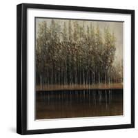 Calm Reflection-Tim O'toole-Framed Giclee Print