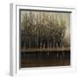 Calm Reflection-Tim O'toole-Framed Giclee Print