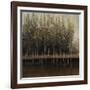 Calm Reflection-Tim O'toole-Framed Giclee Print