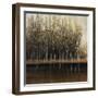 Calm Reflections-Tim O'toole-Framed Giclee Print