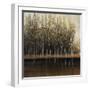 Calm Reflections-Tim O'toole-Framed Giclee Print