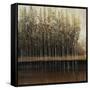 Calm Reflections-Tim O'toole-Framed Stretched Canvas