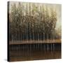 Calm Reflections-Tim O'toole-Stretched Canvas