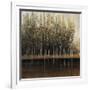 Calm Reflections-Tim O'toole-Framed Giclee Print