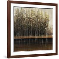 Calm Reflections-Tim O'toole-Framed Giclee Print