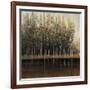 Calm Reflections-Tim O'toole-Framed Giclee Print