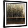 Calm Reflections-Tim O'toole-Framed Giclee Print