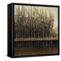 Calm Reflections-Tim O'toole-Framed Stretched Canvas