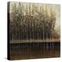 Calm Reflections-Tim O'toole-Stretched Canvas