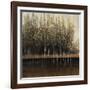 Calm Reflections-Tim O'toole-Framed Giclee Print