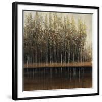 Calm Reflections-Tim O'toole-Framed Giclee Print