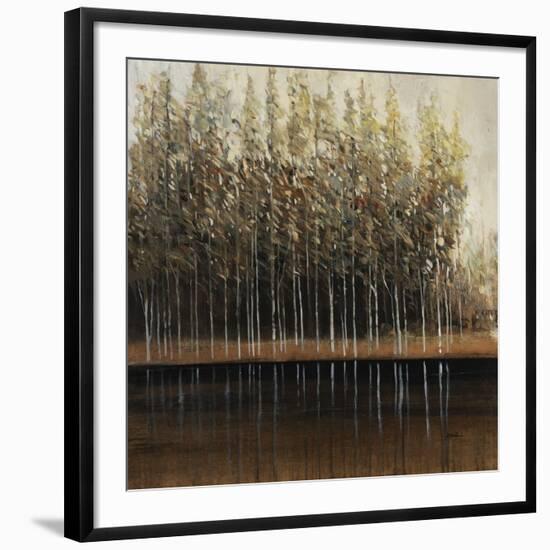 Calm Reflections-Tim O'toole-Framed Giclee Print