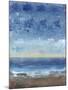 Calm Surf II-Tim O'toole-Mounted Art Print