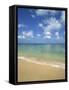 Calm Water on Beach at Paynes Bay, Barbados, West Indies, Caribbean, Central America-Hans Peter Merten-Framed Stretched Canvas