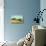 Calm Weather-Vincent van Gogh-Stretched Canvas displayed on a wall