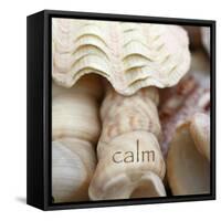 Calm-Nicole Katano-Framed Stretched Canvas
