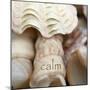 Calm-Nicole Katano-Mounted Photo