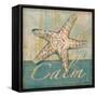 Calm-Todd Williams-Framed Stretched Canvas