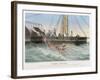 Calmar de Bouyer Giant Squid Caught by the French Vessel "Alecto" off Tenerife Canary Islands-E. Rodolphe-Framed Art Print