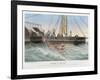 Calmar de Bouyer Giant Squid Caught by the French Vessel "Alecto" off Tenerife Canary Islands-E. Rodolphe-Framed Art Print