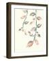 Calming Tropical Botanicals 4-null-Framed Art Print