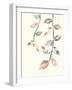 Calming Tropical Botanicals 4-null-Framed Art Print