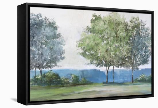 Calming View-Isabelle Z-Framed Stretched Canvas