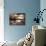 Calming-Stephen Arens-Mounted Photographic Print displayed on a wall