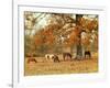 Calmly Grazing-Danny Head-Framed Art Print