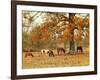 Calmly Grazing-Danny Head-Framed Art Print