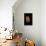 Calocochlia Pyrostoma-Paul Starosta-Framed Stretched Canvas displayed on a wall