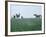 Calumet, Horse Farm-Eliot Elisofon-Framed Photographic Print