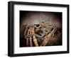 Calvary Curb-Barry Hart-Framed Art Print