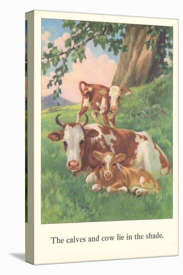 Calves and Cows Lie in Shade-null-Stretched Canvas