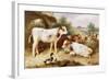 Calves and Poultry by a Byre, 1922-Walter Hunt-Framed Giclee Print