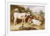 Calves and Poultry by a Byre, 1922-Walter Hunt-Framed Giclee Print