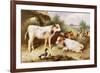 Calves and Poultry by a Byre, 1922-Walter Hunt-Framed Giclee Print