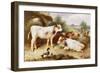 Calves and Poultry by a Byre-Walter Hunt-Framed Giclee Print